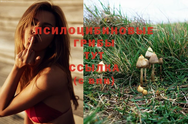 бошки Армянск