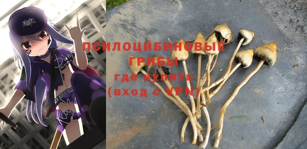 бошки Армянск