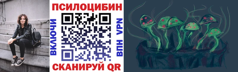 где купить наркоту  Чудово  Псилоцибиновые грибы MAGIC MUSHROOMS 