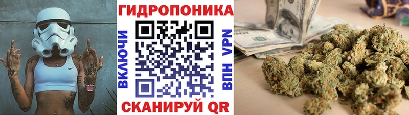 Марихуана семена кракен как войти Чудово